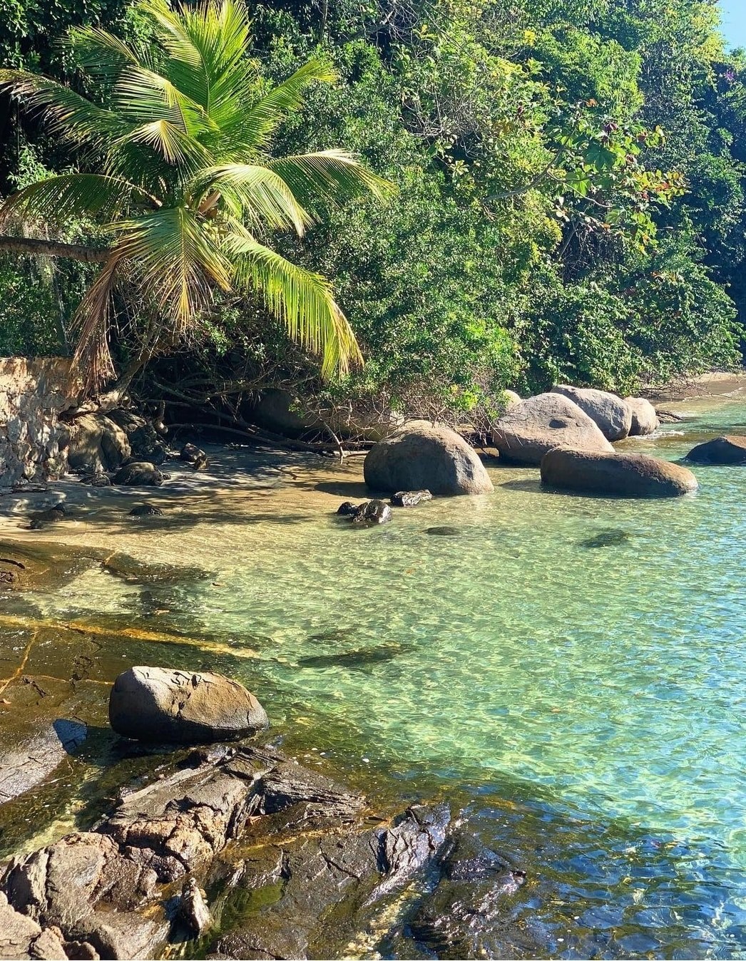 ANGRA DOS REIS & BARRA DA TIJUCA